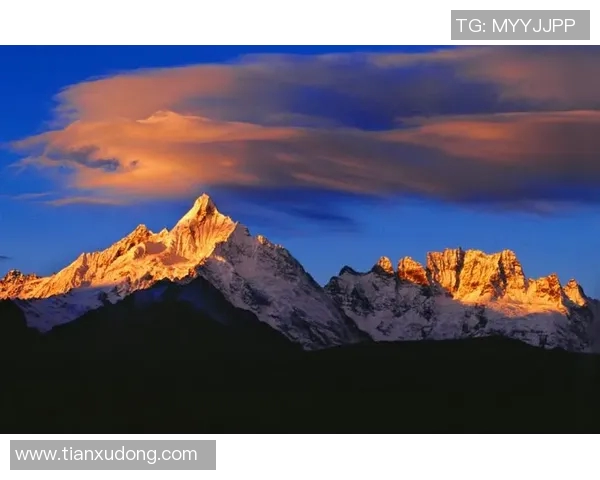 人类智慧与野兽本能的较量探讨人与自然的和谐共生之道