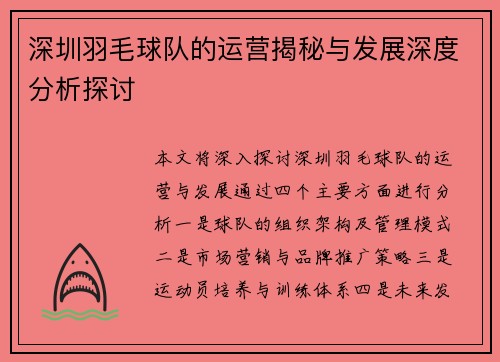 深圳羽毛球队的运营揭秘与发展深度分析探讨