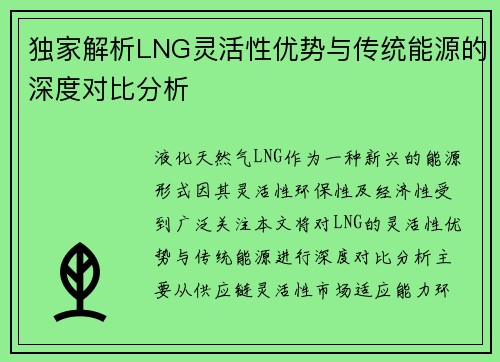 独家解析LNG灵活性优势与传统能源的深度对比分析