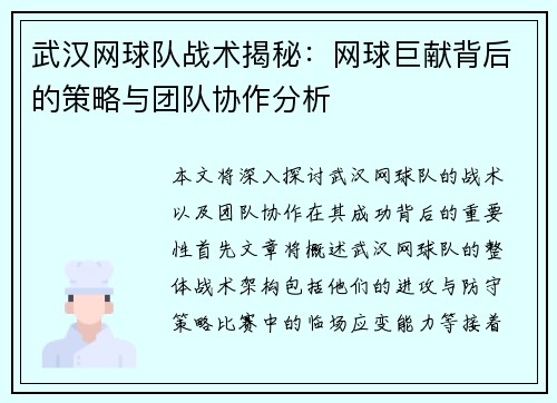 武汉网球队战术揭秘：网球巨献背后的策略与团队协作分析