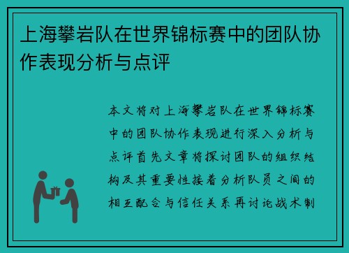 上海攀岩队在世界锦标赛中的团队协作表现分析与点评